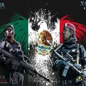 Meet your Posher, Julio cesar